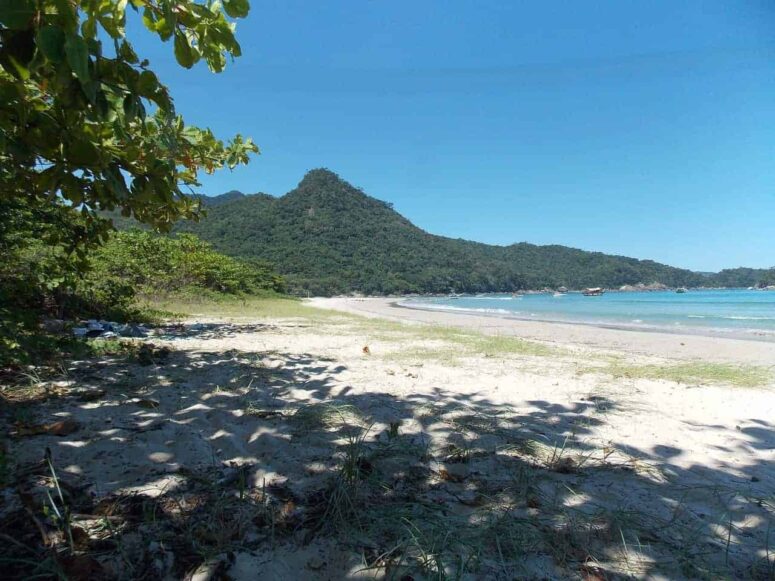 Does the Big Island Have Nice Beaches?