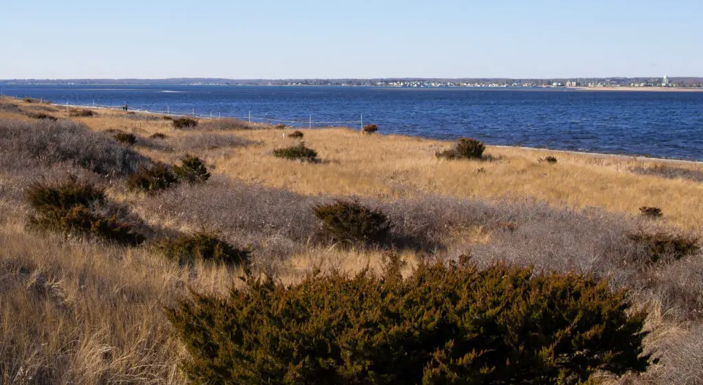 Napatree Point Conservation Area