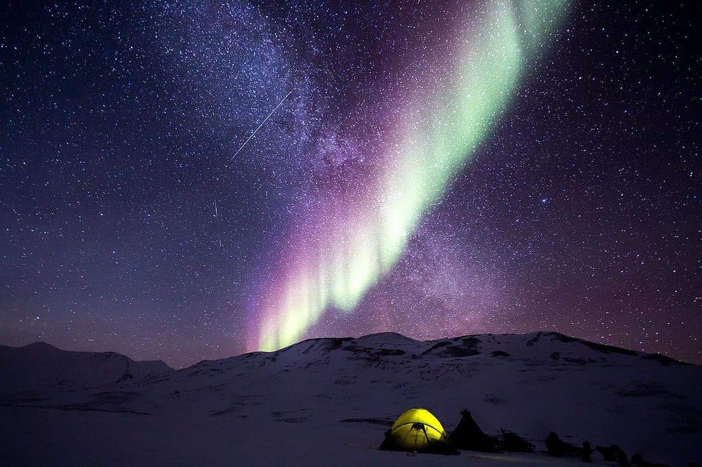 Bedste ting at gøre i Alaska