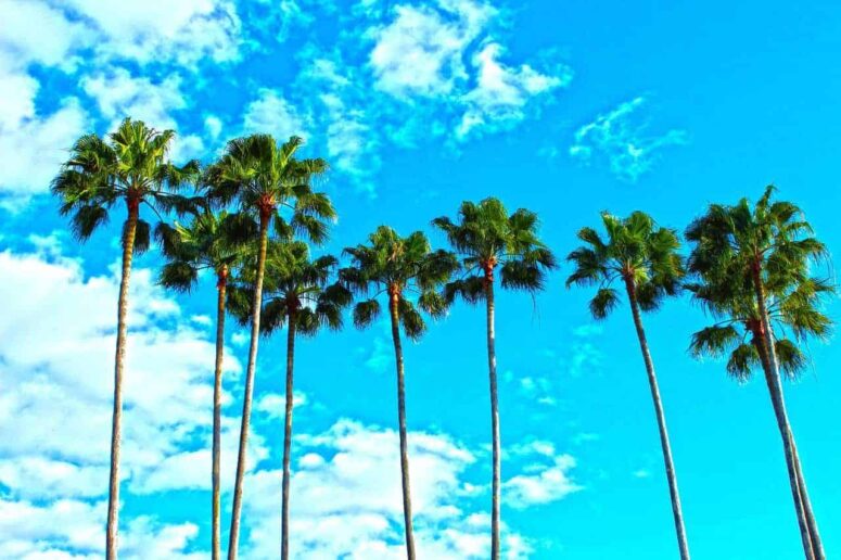 What part of Florida is best for vacation?