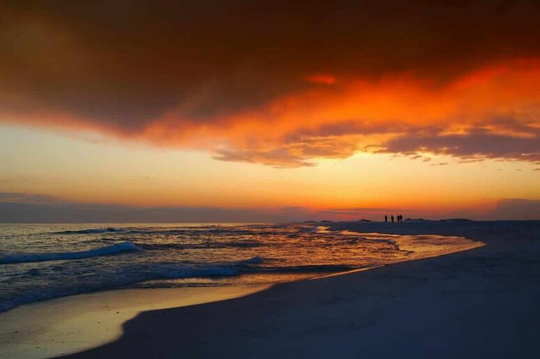 Why Is Florida So Popular?
