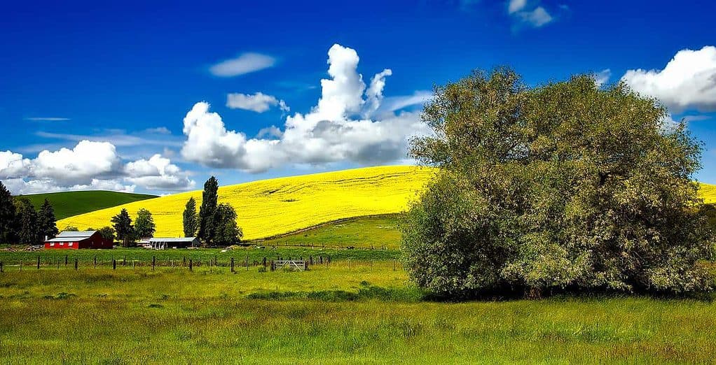 Idaho'da ne görülmeli?