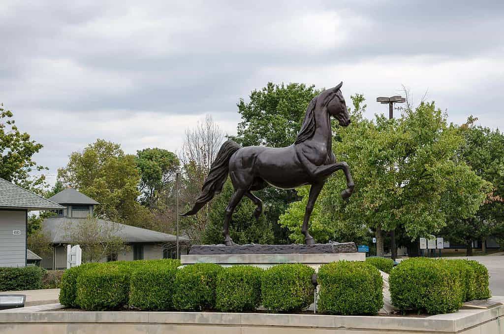 Dove andare in Kentucky