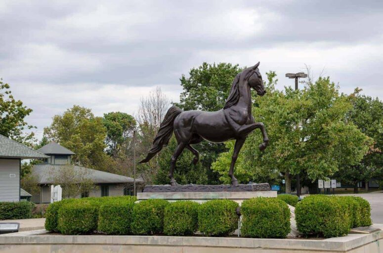 Simple and Real Things to Do in Kentucky Now