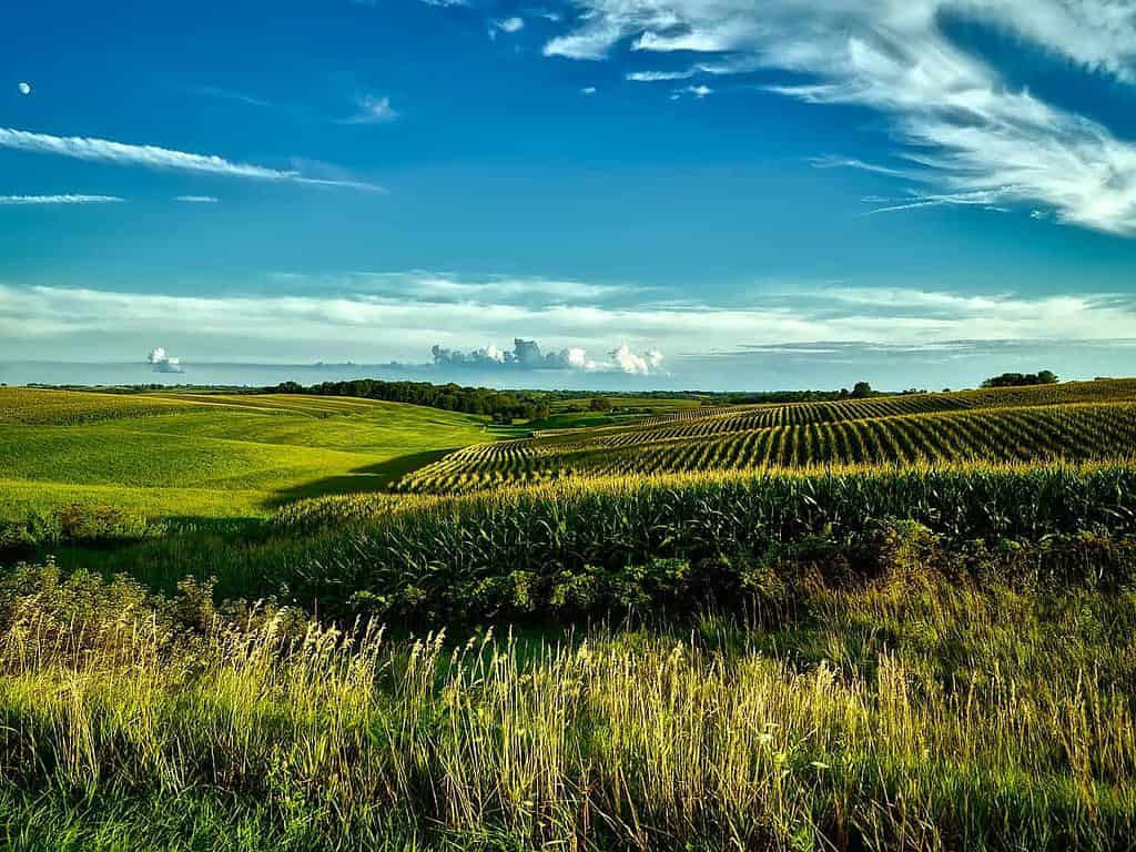 Was es in Iowa zu sehen gibt