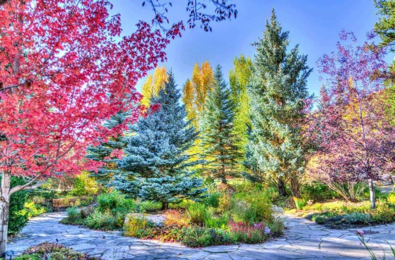 A Real Guide to Things to Do in Colorado Right Now