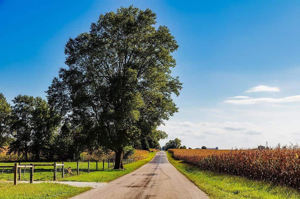 Qué ver en Indiana