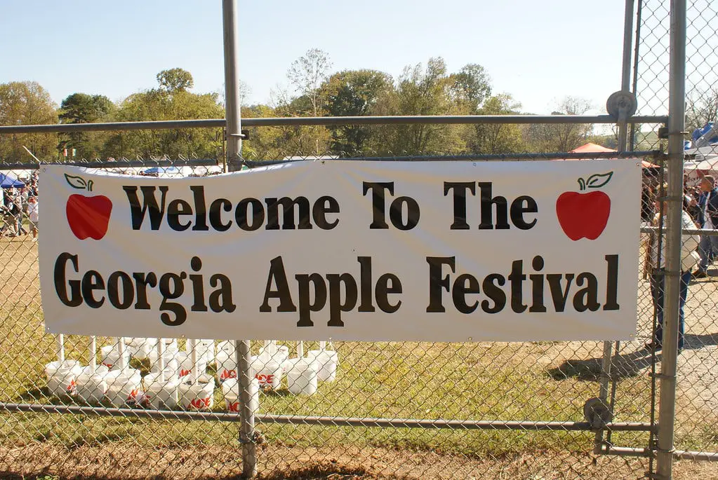 Georgia Apple Festival
