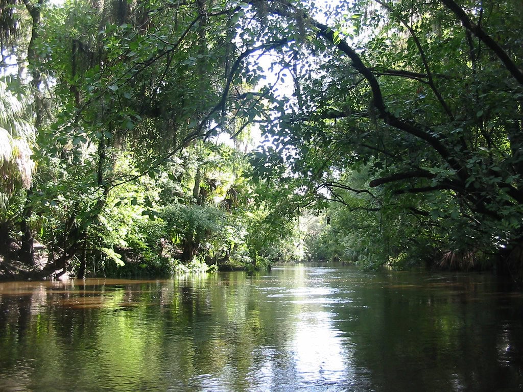 Local Eyes Only: The 10 Facts Riverview, FL Tries to Forget