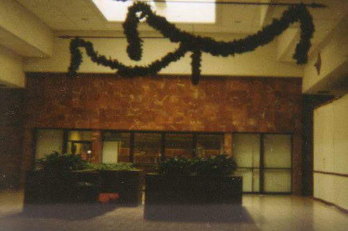 50 Years of Hampton Towne Centre Mall in Bay City, MI: What's Left Today 13 Hampton Towne Centre mi