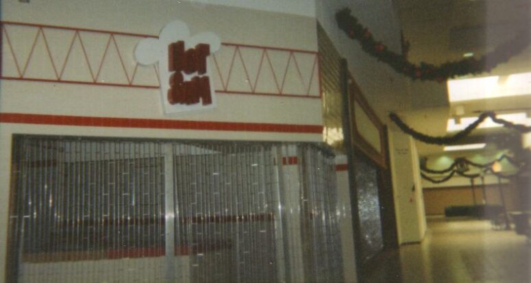 50 Years of Hampton Towne Centre Mall in Bay City, MI: What's Left Today
