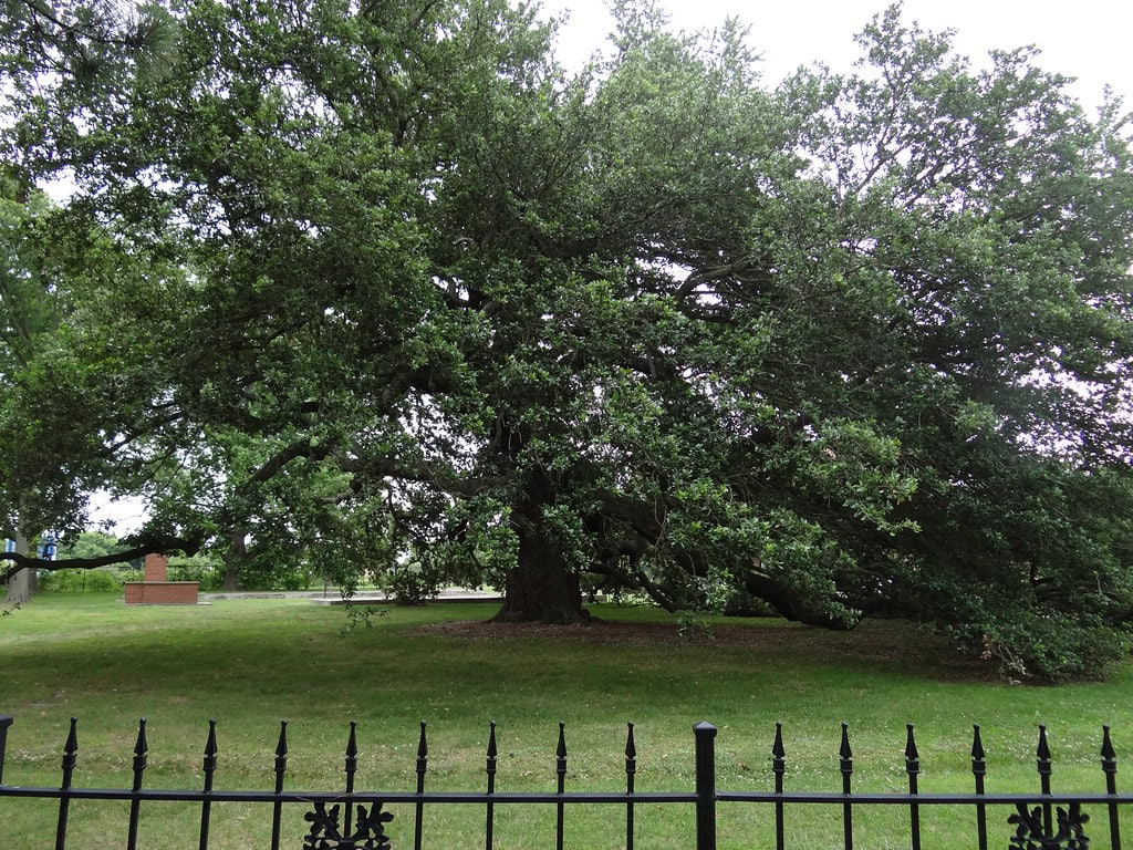 12 Facts Locals Say Make Hampton, VA Unique