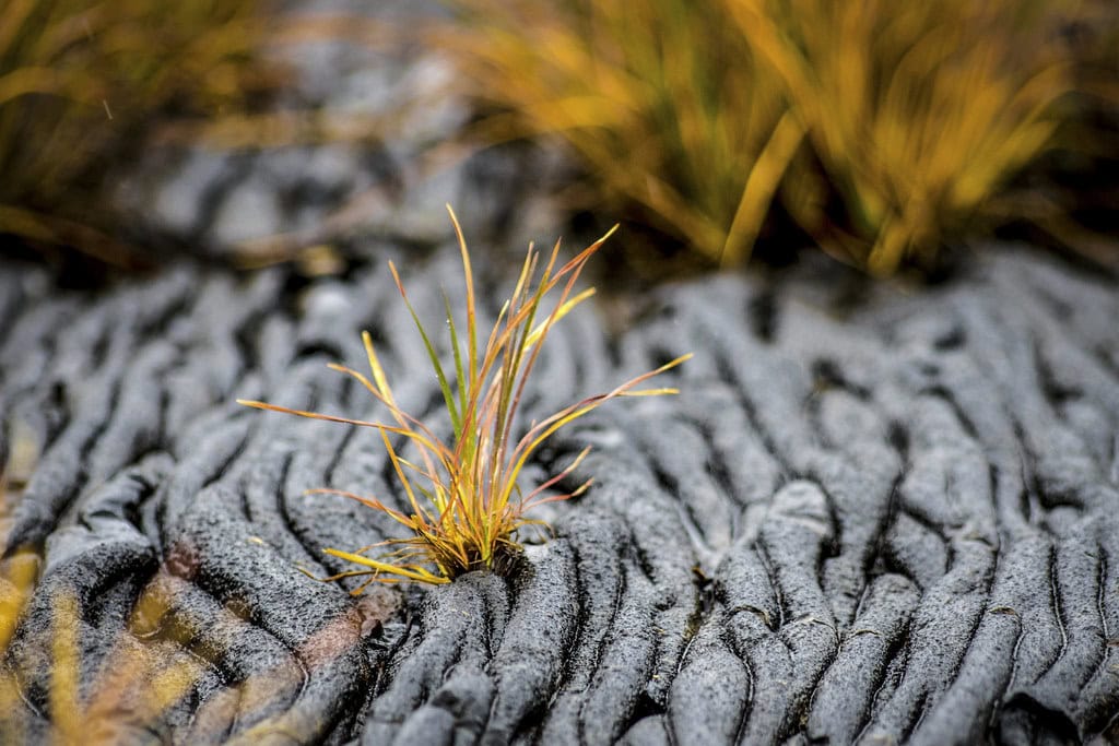 Hawaiʻi Volcanoes National Park