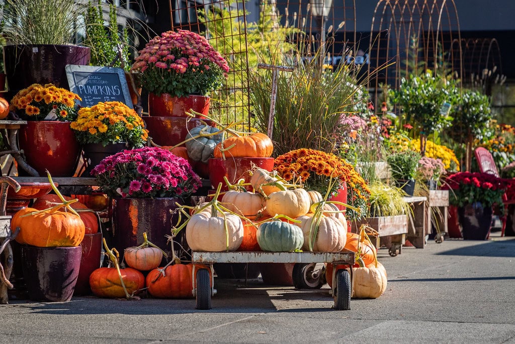 University Village Seattle