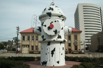 Dalmatian Fire Hydrant Beaumont, TX