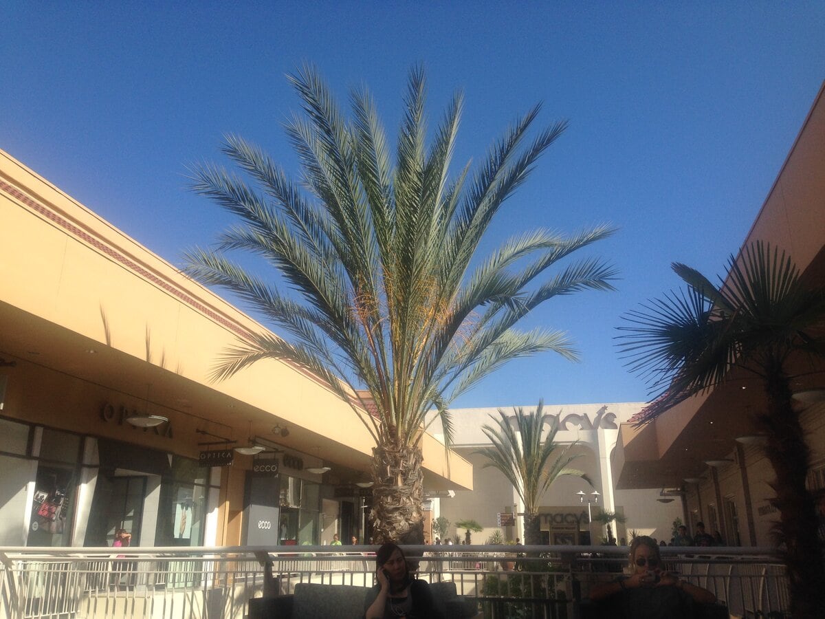 Fashion Valley Mall