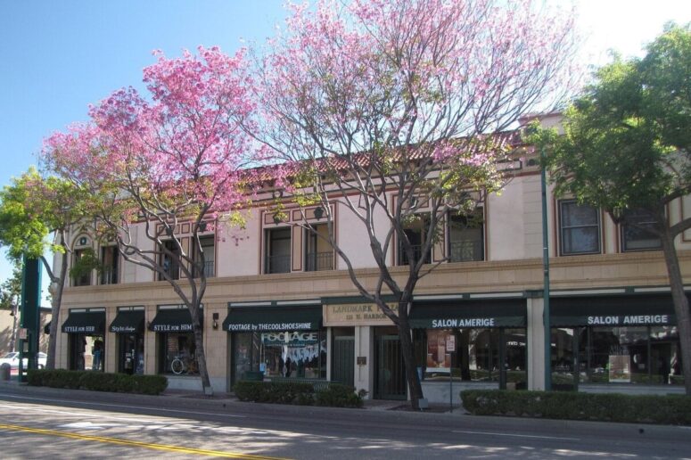 When Elephants Raced and Guitars Were Born: 10 Fullerton, California Facts