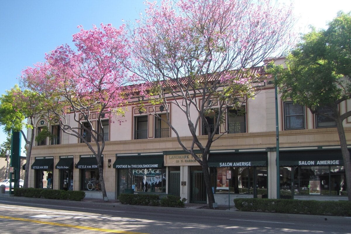 When Elephants Raced and Guitars Were Born: 10 Fullerton, California Facts