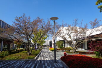 Oakbrook Center