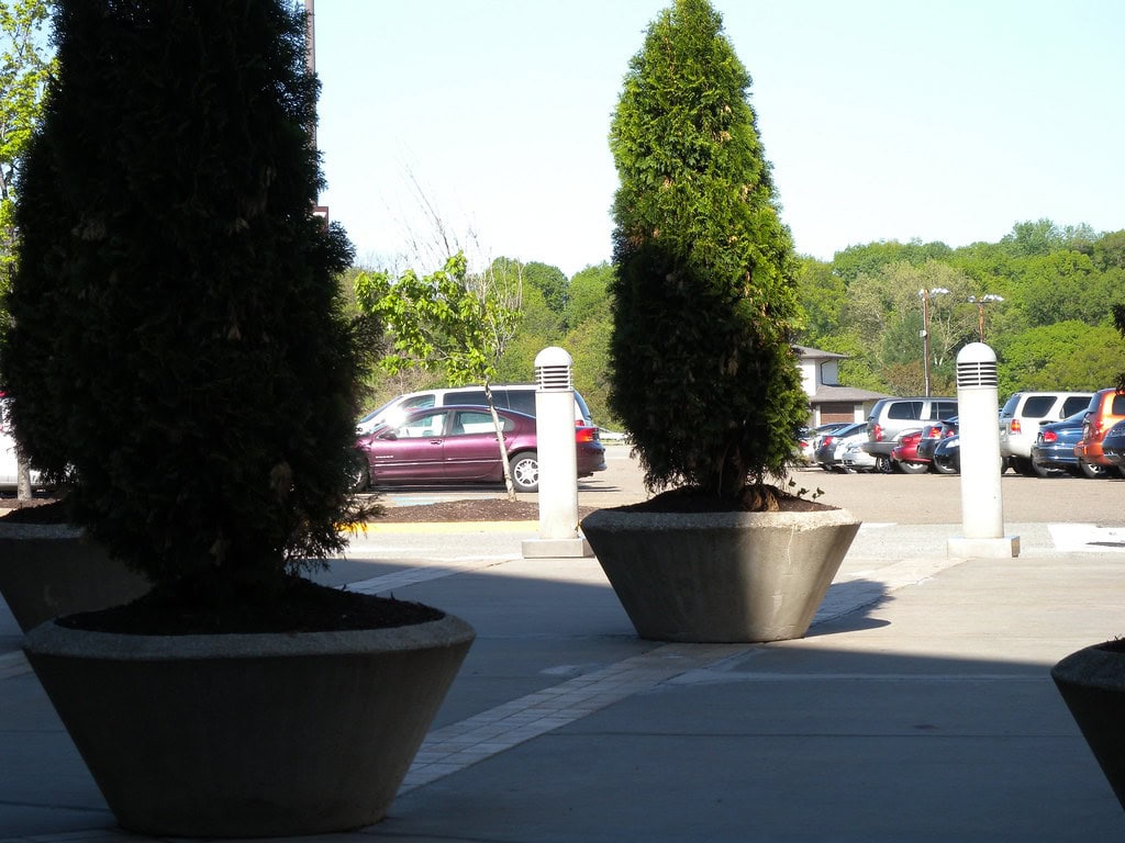 Ross Park Mall