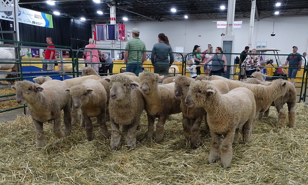 Michigan State Fair