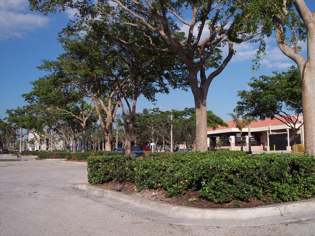 Sawgrass Mills