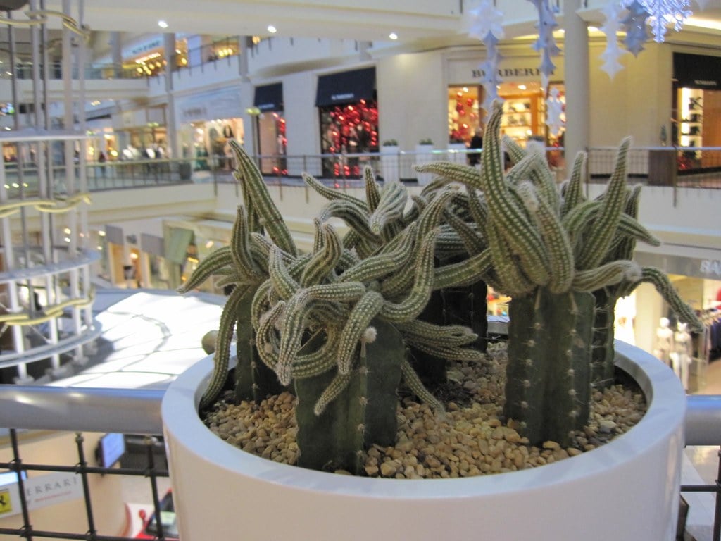 Tysons Galleria