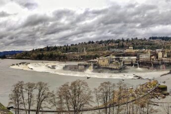 Blue Heron Paper Mill