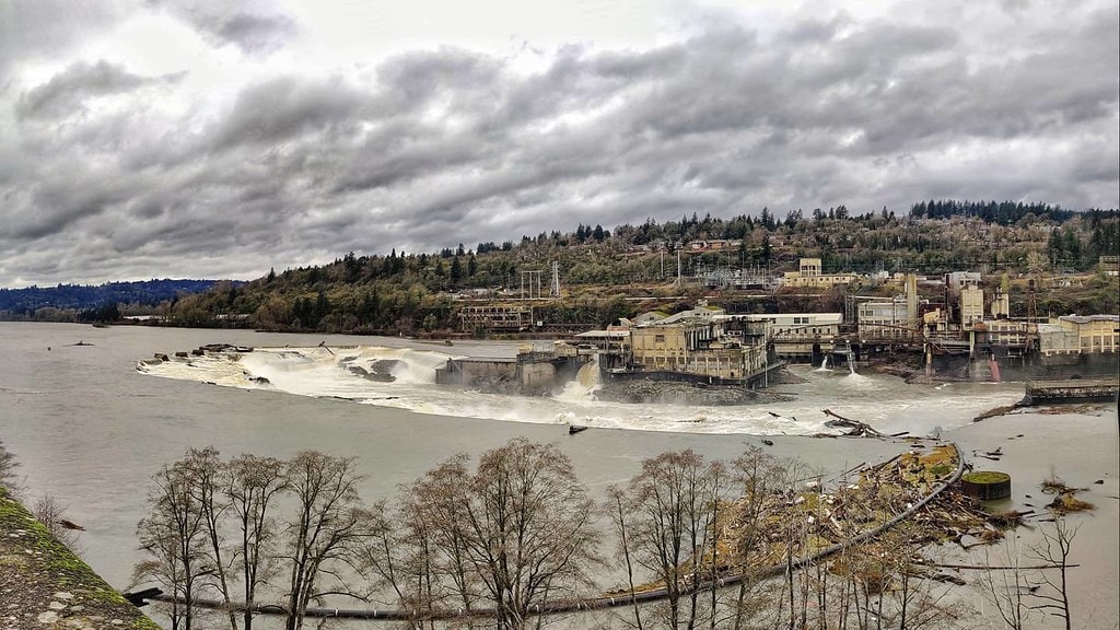 Blue Heron Paper Mill in Oregon: What It Was, What's Left, and What's Next 10 Blue Heron Paper Mill