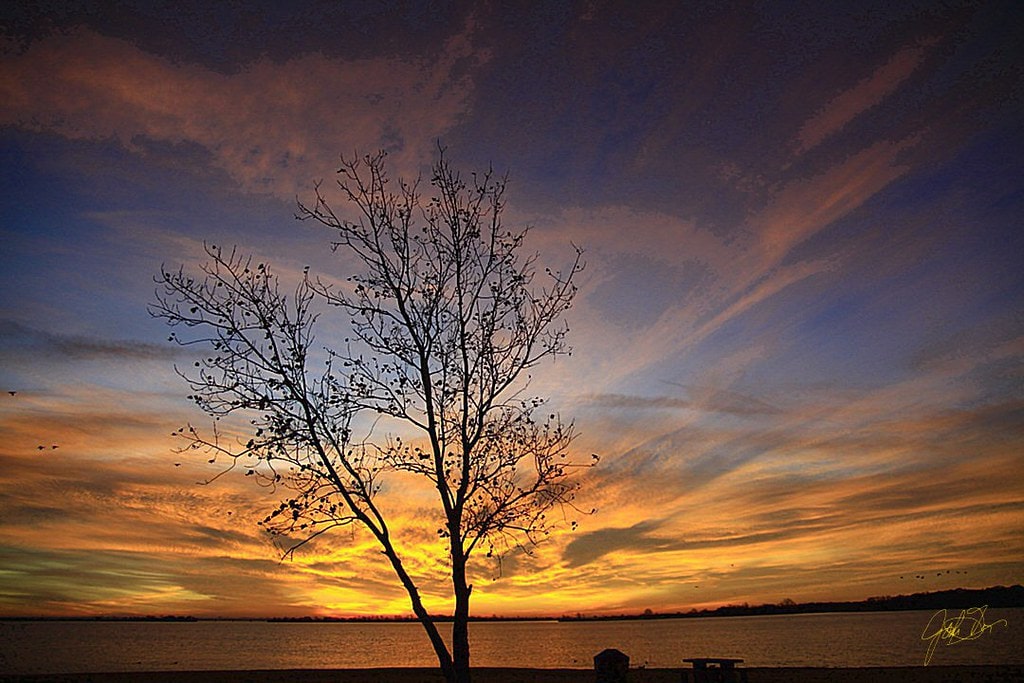 Lewisville, Texas: The City That Holds More Secrets Than Its Lake 12 Lewisville, Texas