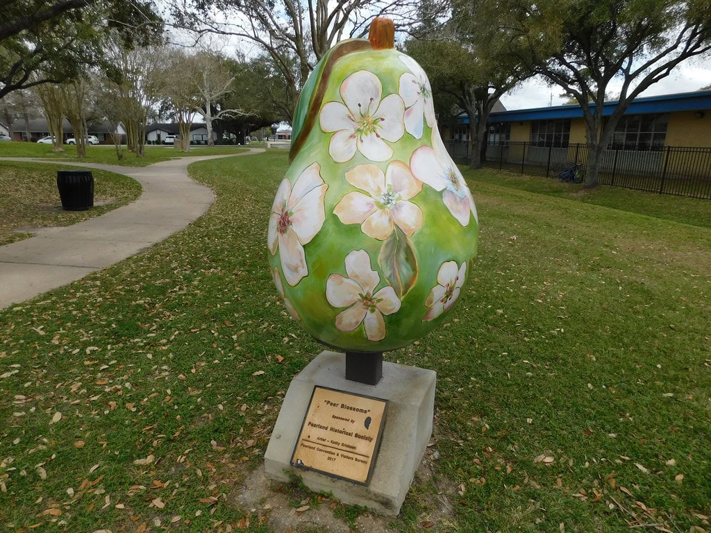 14 Unbelievable Pearland, TX, Details that Prove this Quiet City is Anything but Ordinary 15 'Pear Blossoms' Giant Pear