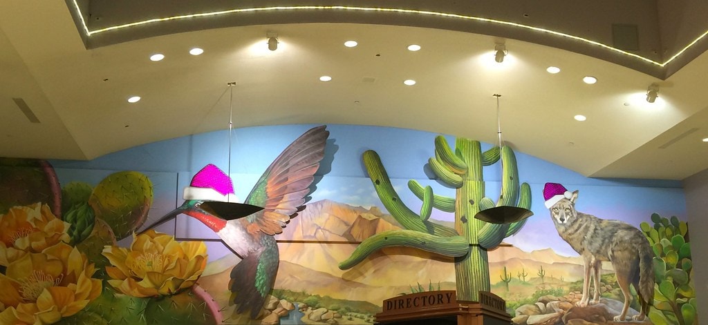Secrets of Park Place Mall: The Evolution of Tucson, AZ's Most Resilient Mall 15 Park Place Mall