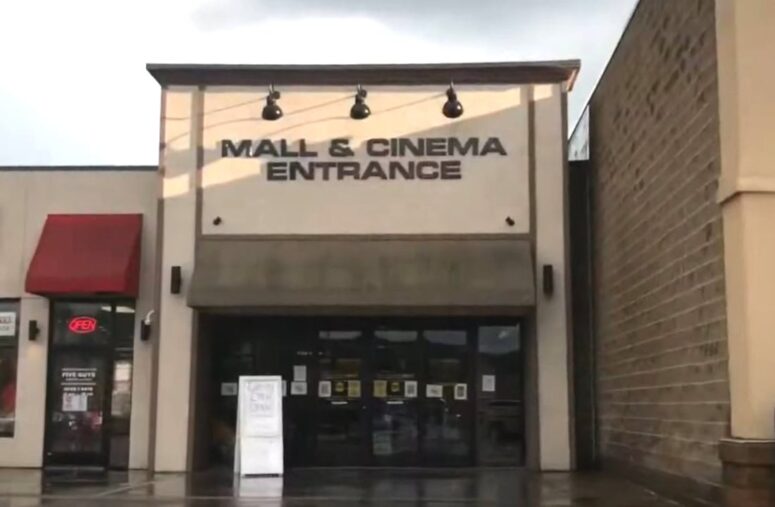 Southside Mall, Oneonta, NY: Wild Survival Story from Kmart to Michaels and Beyond