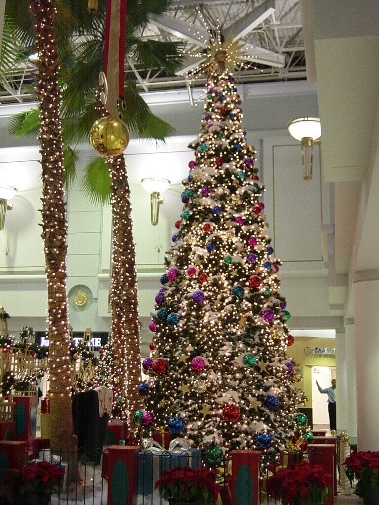 Inside Dramatic Rise and Uncertain Future of Towson Town Center Mall in Towson, MD 17 Towson Town Center
