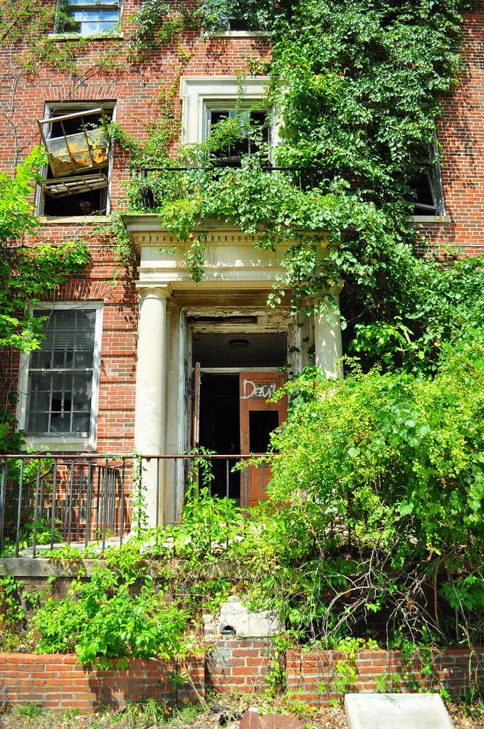 Forest Haven Asylum, Laurel, MD: The Hidden Truth Behind the Ruins 12 Forest Haven