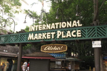 The Real Story of International Market Place Mall in Honolulu, HI 13 International Market Place