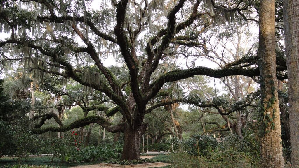 Why Palm Coast, Florida, Became Known for Trails and Parks