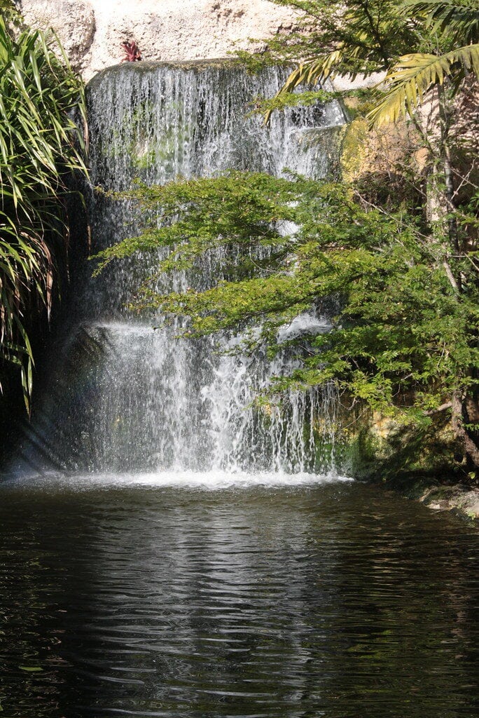 Jungle Island Miami