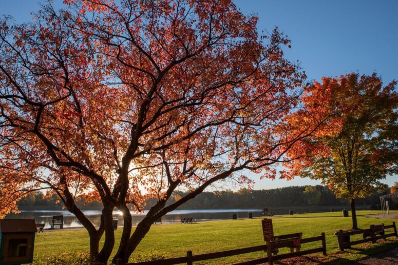 This Michigan Suburb Has a 110-Acre Park, Strong Schools, and Fast Home Sales