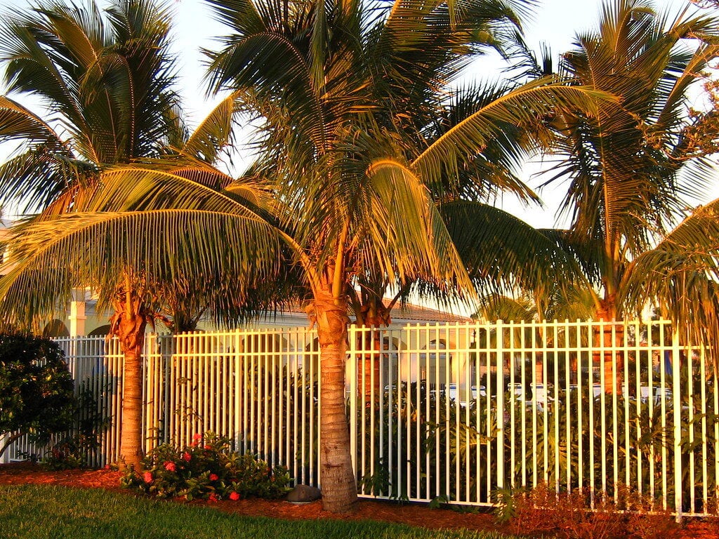 The Florida City Where Daily Life Runs Between Old 41 And The Gulf 12 Bonita Springs, FL