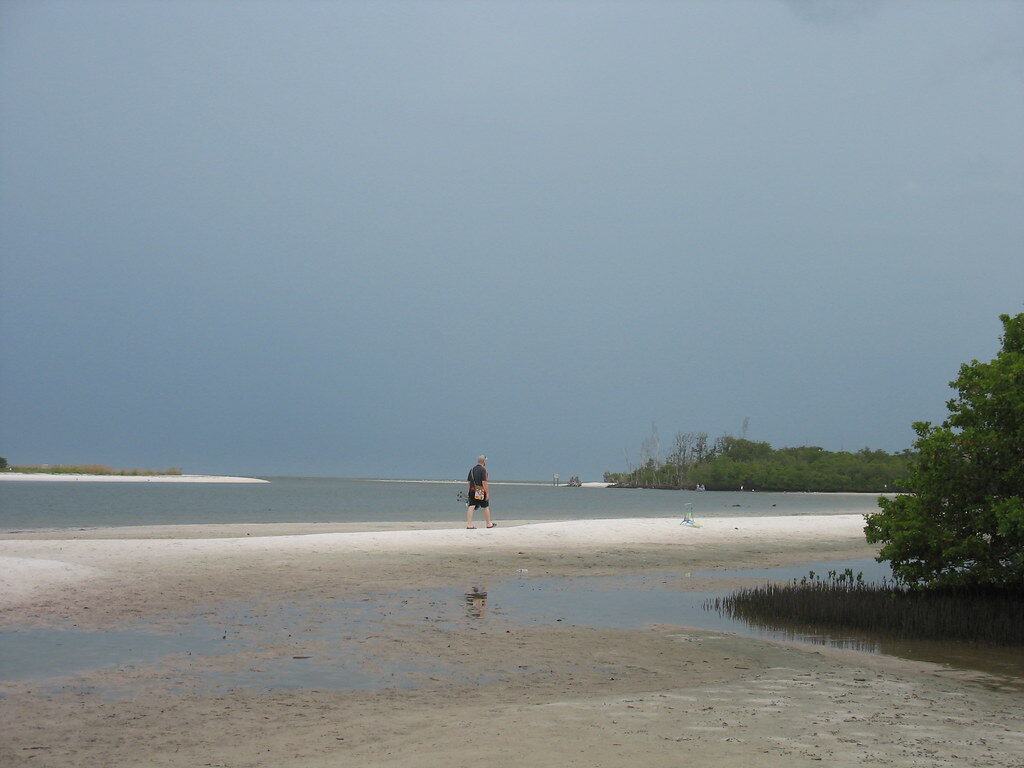 The Florida City Where Daily Life Runs Between Old 41 And The Gulf 10 Dog Beach, Bonita Springs, FL