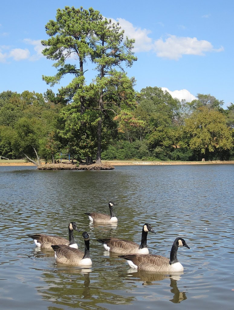 Olive Branch, Mississippi