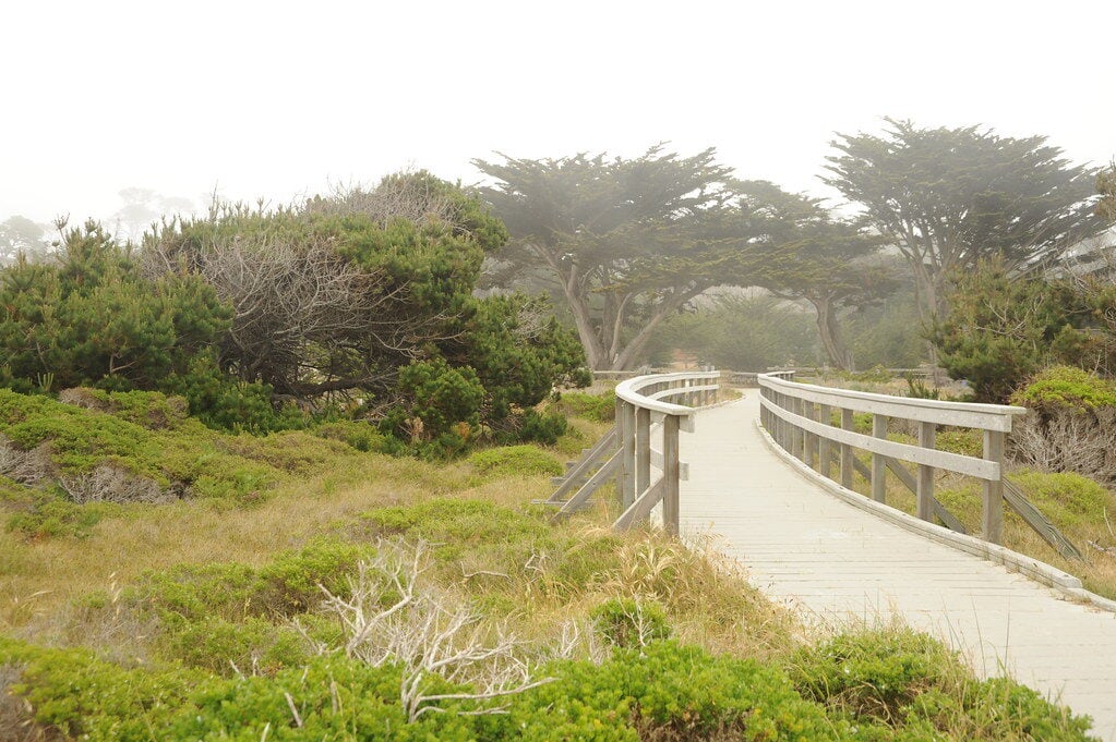Central California for Retirees: A Walkable Coast Town With a Seven-Figure Catch 13 Pacific Grove, California