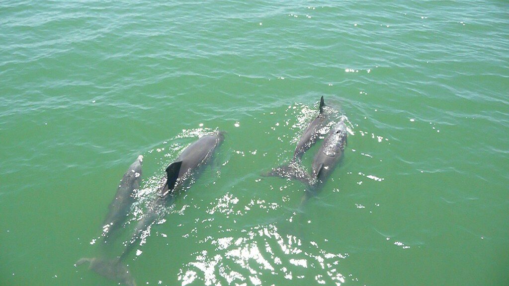 St. Pete Beach