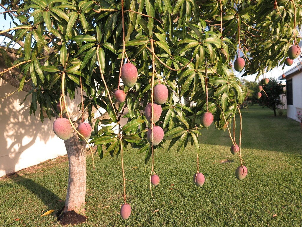 Tamarac, Florida