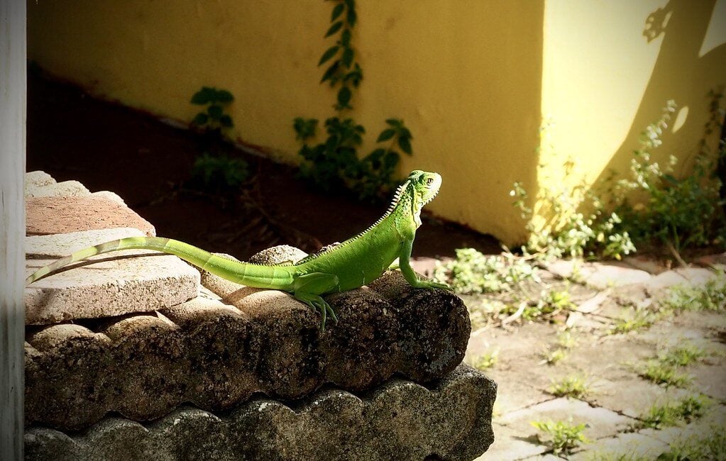 Tamarac, Florida