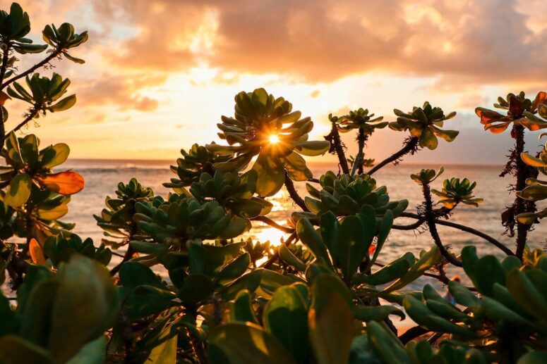Is Maui Visible From the Big Island? Yes - Here's Where to Look