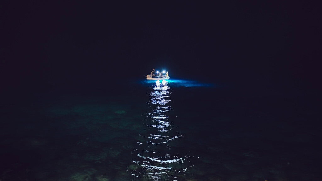 Night manta-ray viewing off Kona