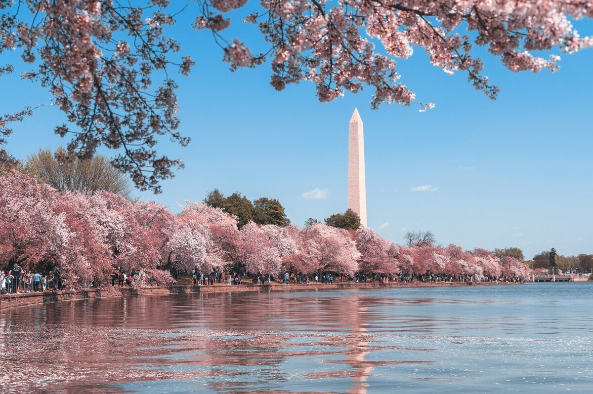 Washington, DC Attractions