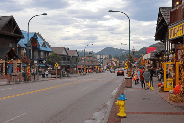 Everyday Gatlinburg, TN: Traffic Lights, Bear-Resistant Trash, and Thursday Trout Closures